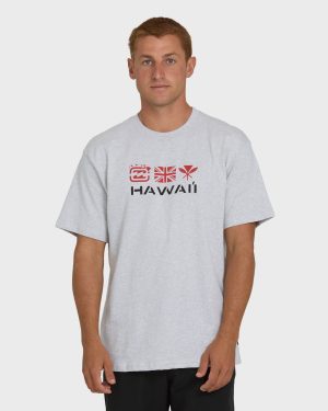 Kahili Hawaii Regular Short Sleeve Tee - Heather Gray